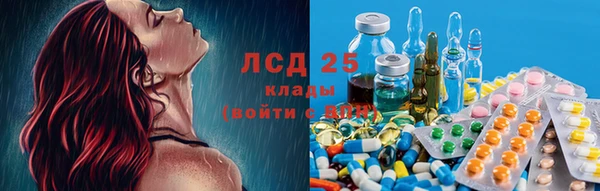 дживик Баксан