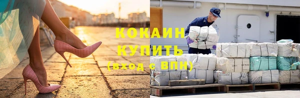 дживик Баксан